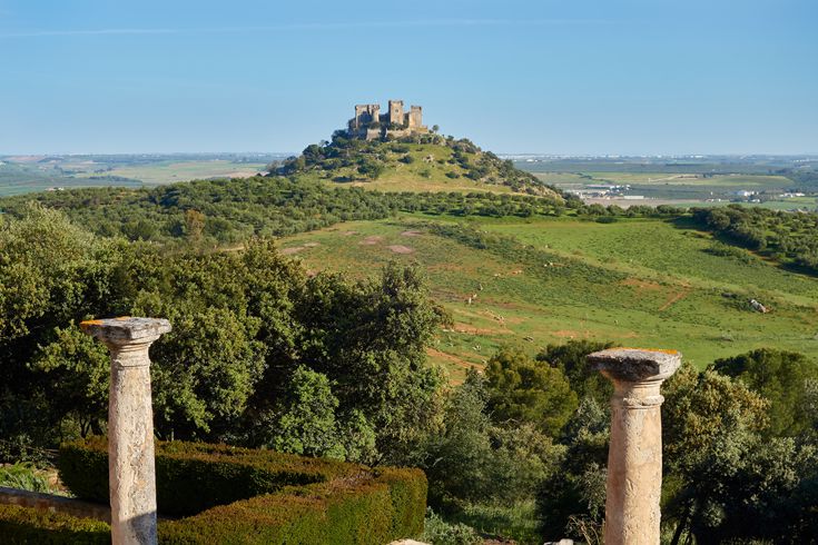 Vista general del castillo