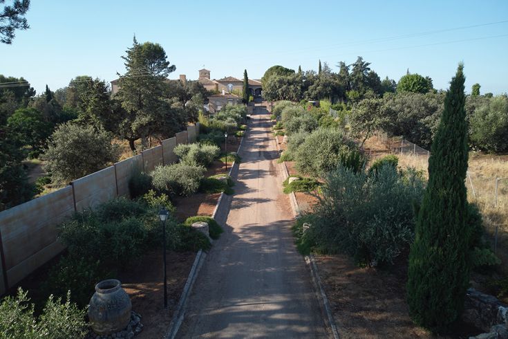 Camino de acceso a la casa