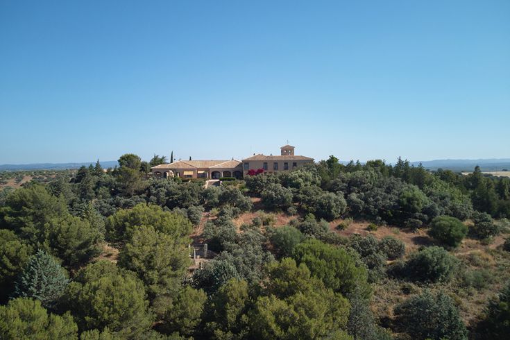 Vista general